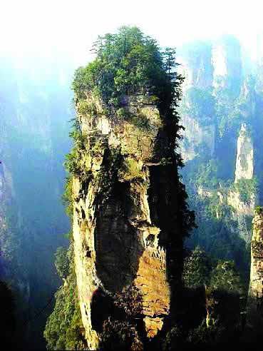 張家界國家地質森林公園、黃石寨、金鞭溪休閑一日游