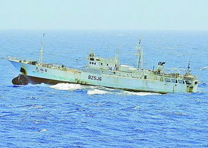 多国战舰大战索马里海盗 印度军舰击沉一艘海盗 母舰