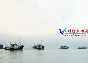 潍坊首支远洋捕捞船队启航 捕捞作业三个月