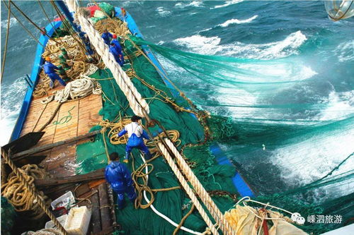 带鱼饭,因渔家兄弟偷懒而诞生,却成了远洋出海渔船上必吃的美食